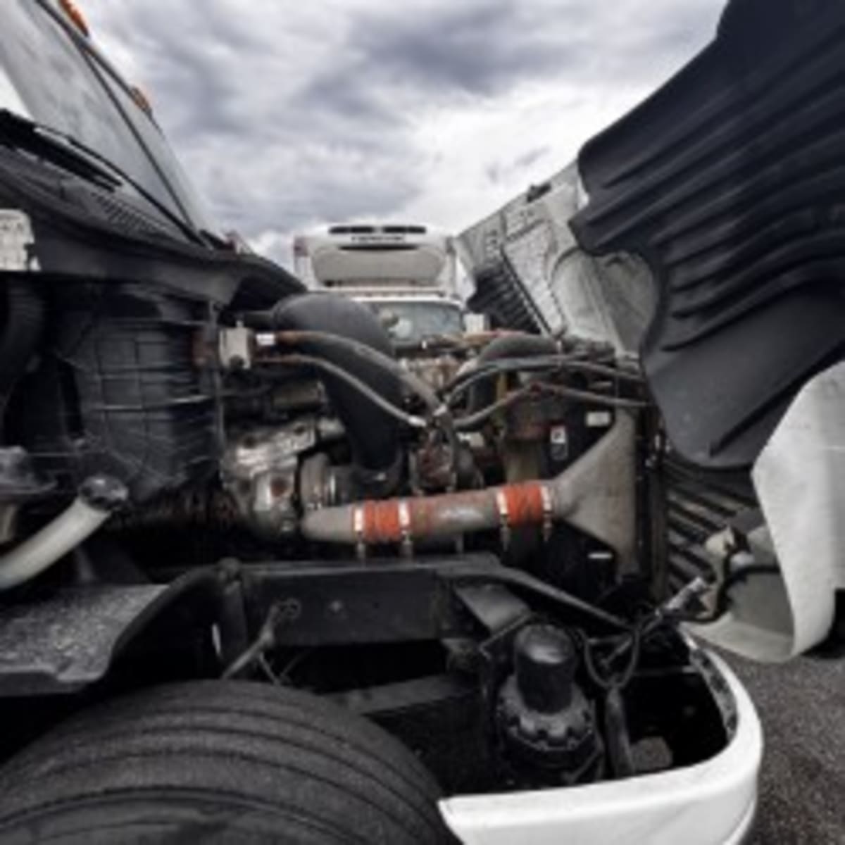 2019 Freightliner - image 9