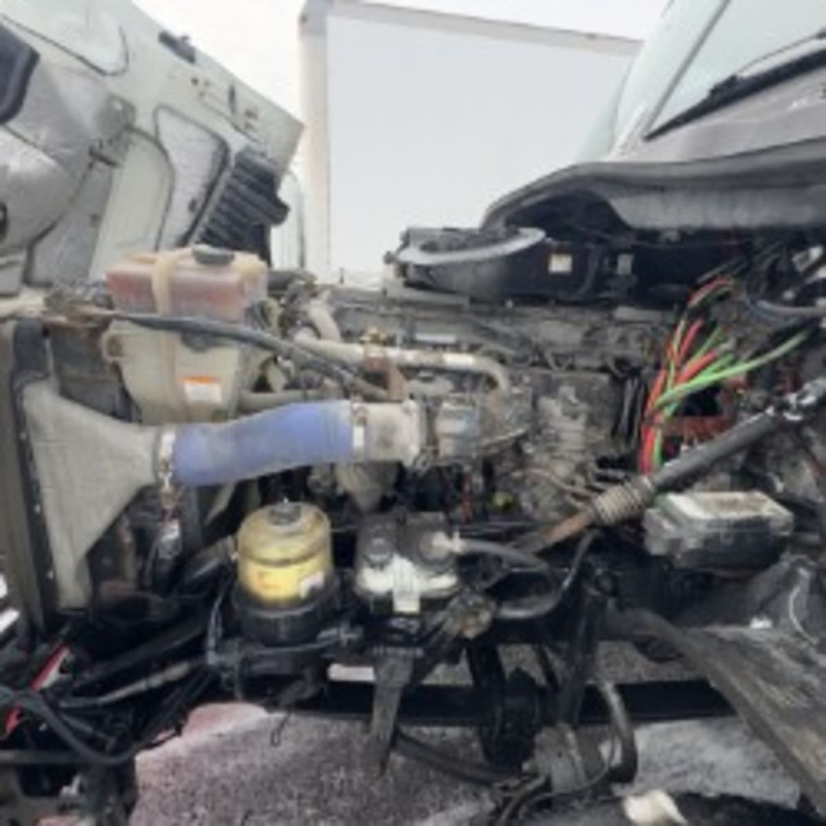 2019 Freightliner - image 9