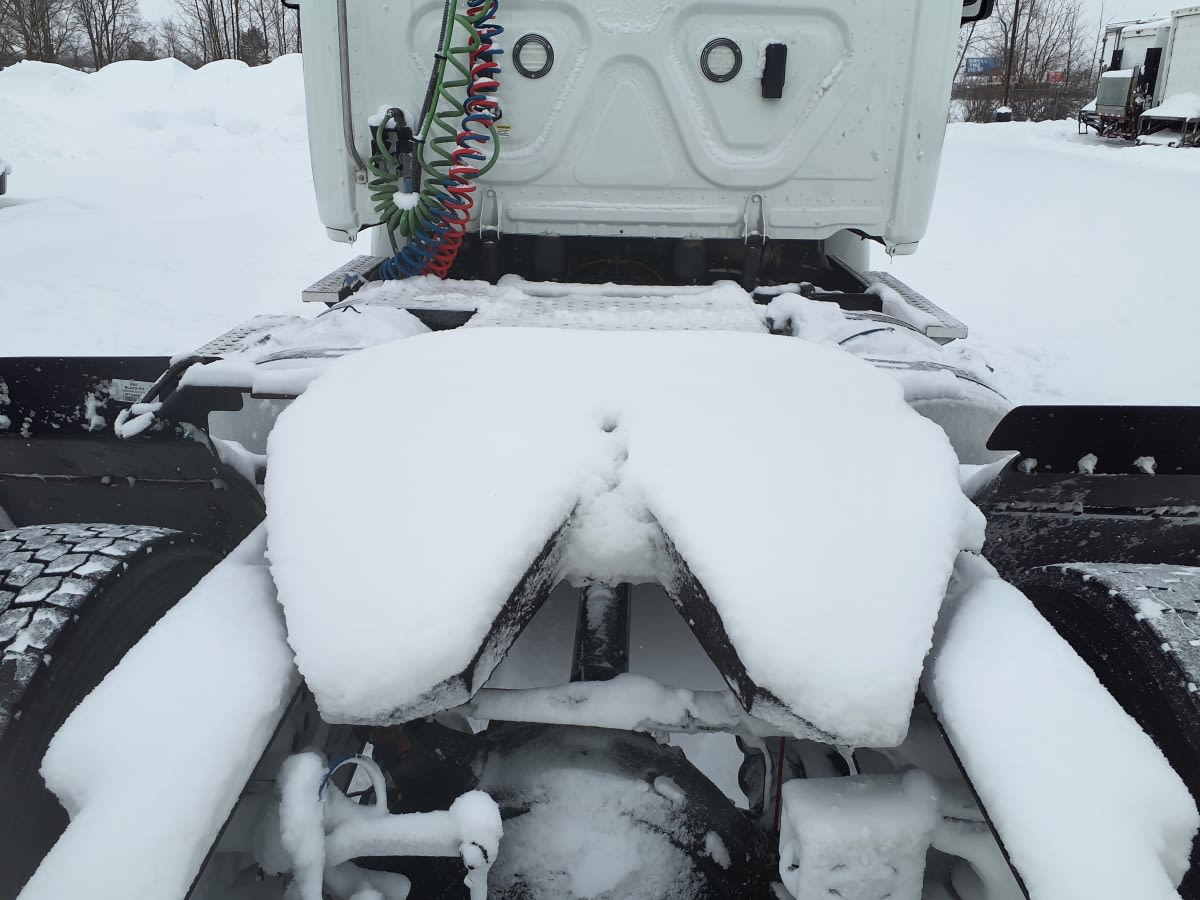 2019 Freightliner/Mercedes CASCADIA 113 862423