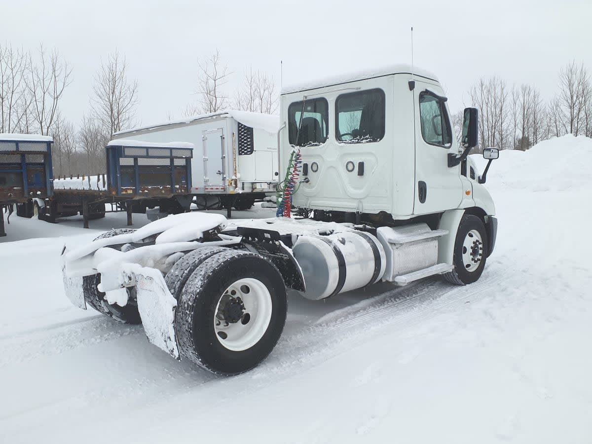 2019 Freightliner/Mercedes CASCADIA 113 862423