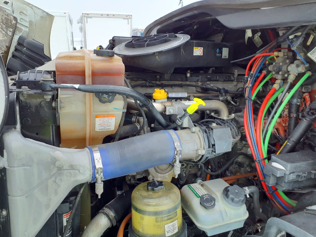 2019 Freightliner/Mercedes CASCADIA 113 862423