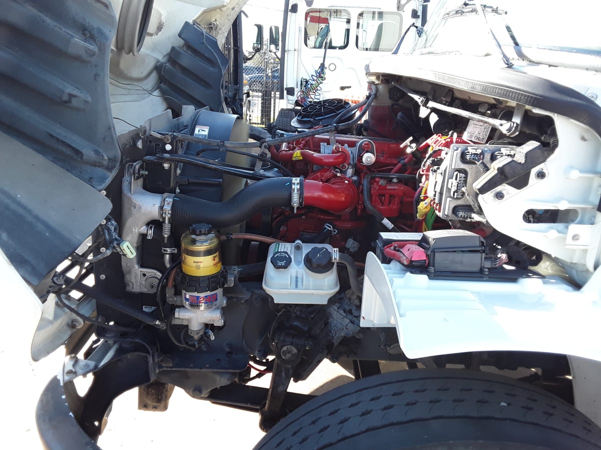 2019 Freightliner/Mercedes M2 106 862434