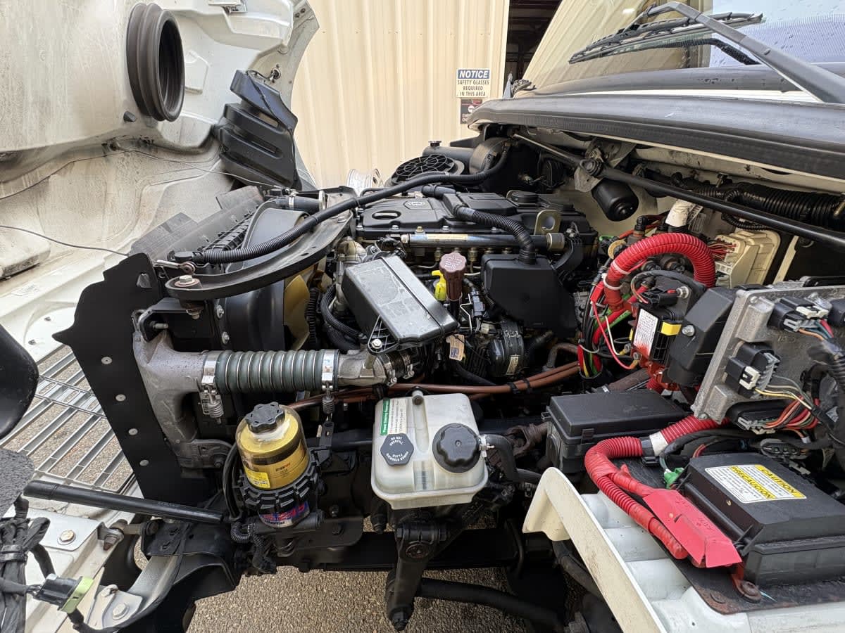 2019 Freightliner/Mercedes M2 106 862435