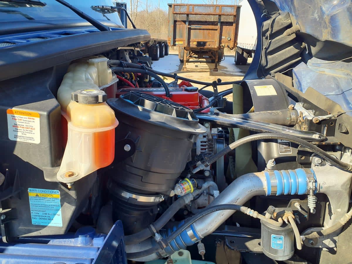 2019 Freightliner/Mercedes M2 106 862463