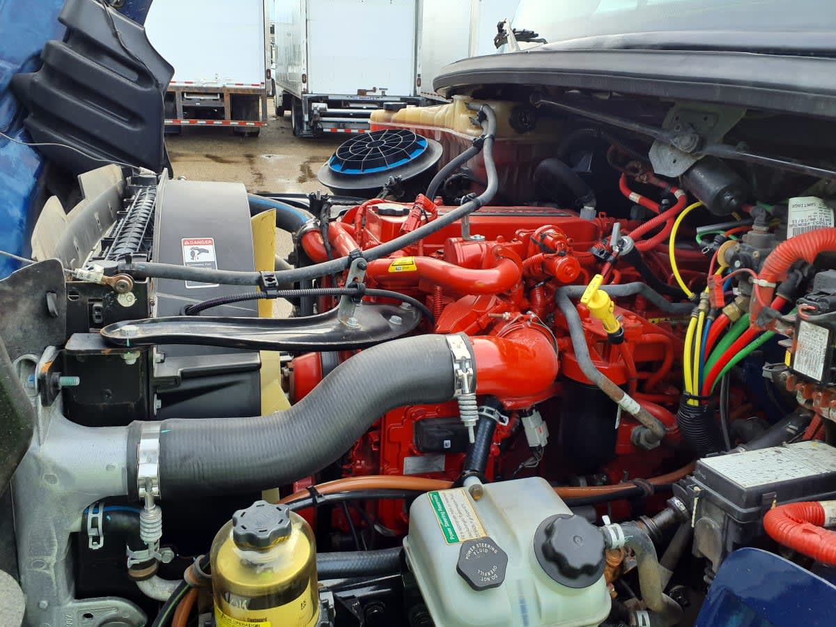 2019 Freightliner/Mercedes M2 106 862464