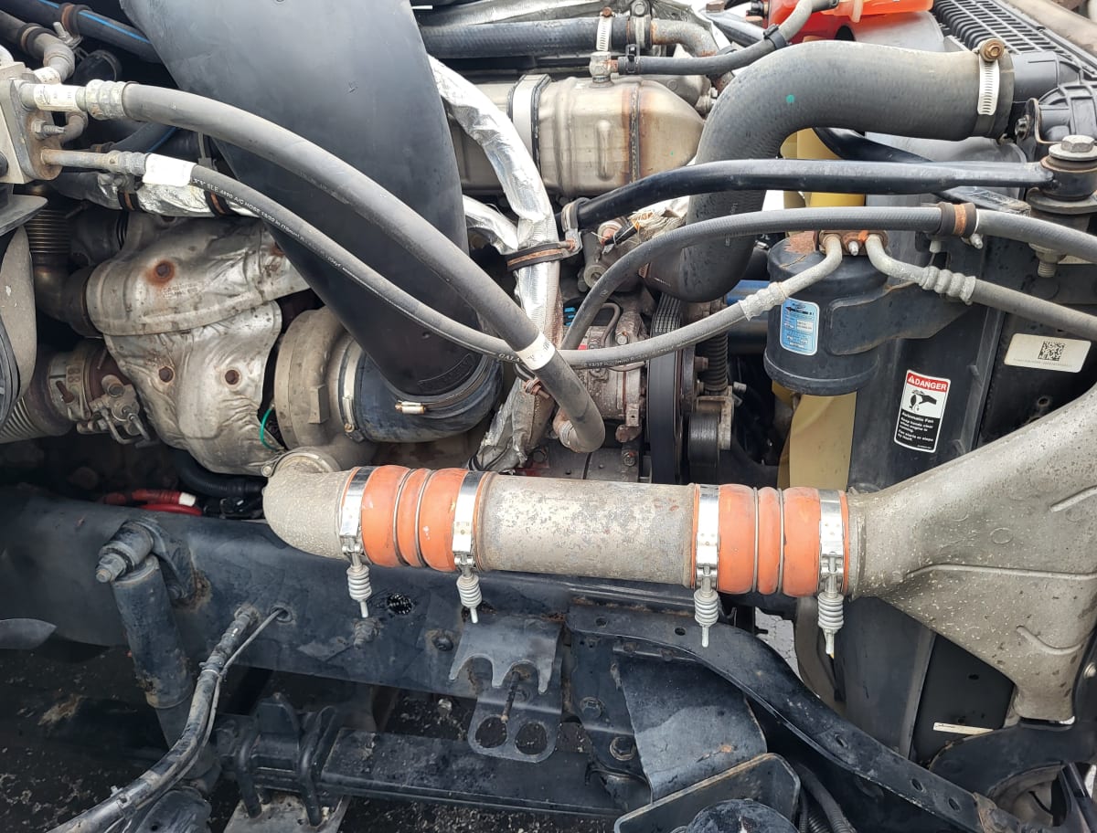 2019 Freightliner - image 7