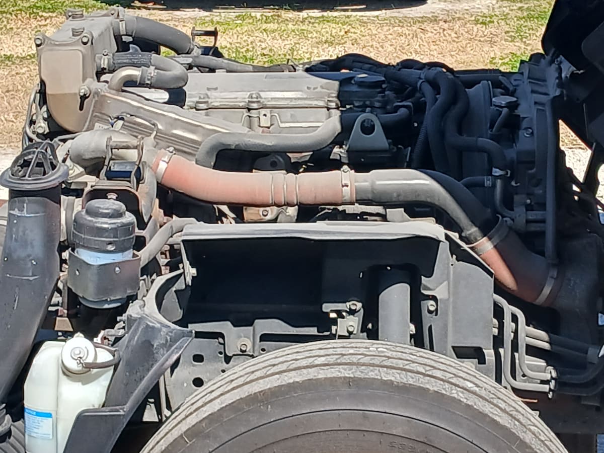 2019 Isuzu NQR 862501