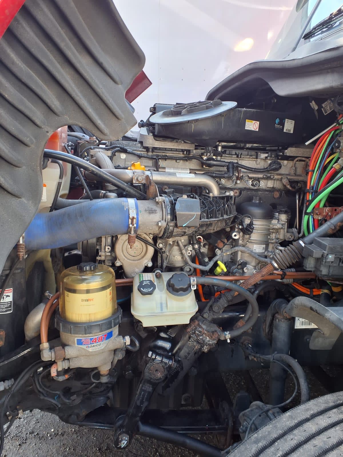 2019 Freightliner - image 8