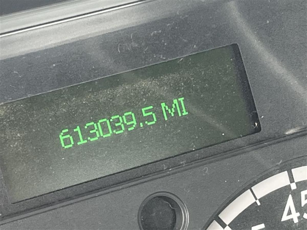 2019 Freightliner - image 9