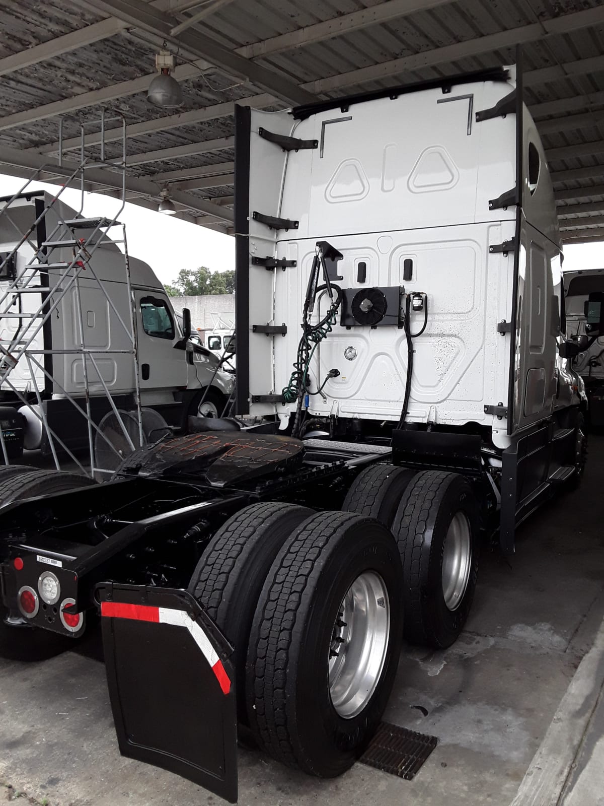 2019 Freightliner/Mercedes CASCADIA 125 862537