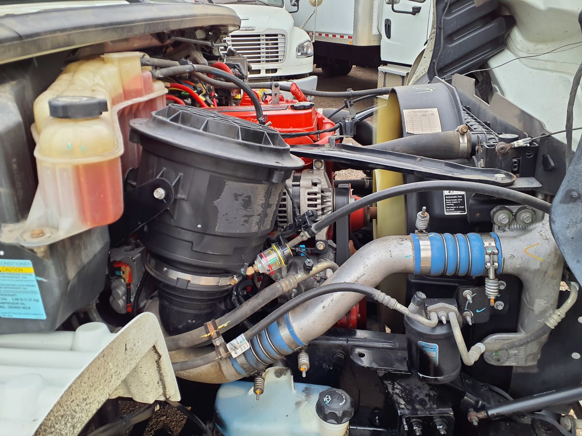 2019 Freightliner/Mercedes M2 106 862845