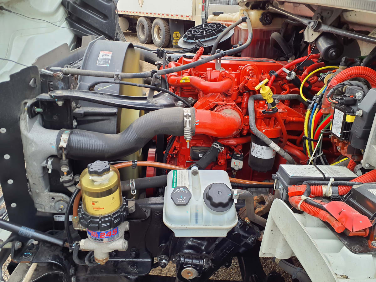 2019 Freightliner/Mercedes M2 106 862845