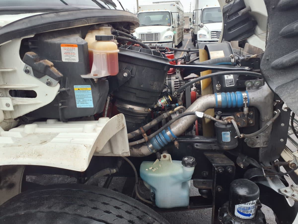 2019 Freightliner/Mercedes M2 106 863045