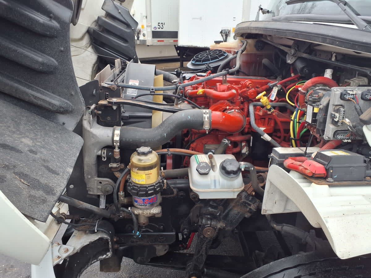 2019 Freightliner/Mercedes M2 106 863045