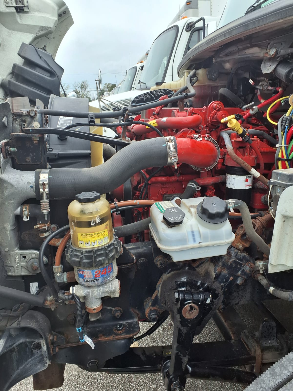 2019 Freightliner/Mercedes M2 106 863112