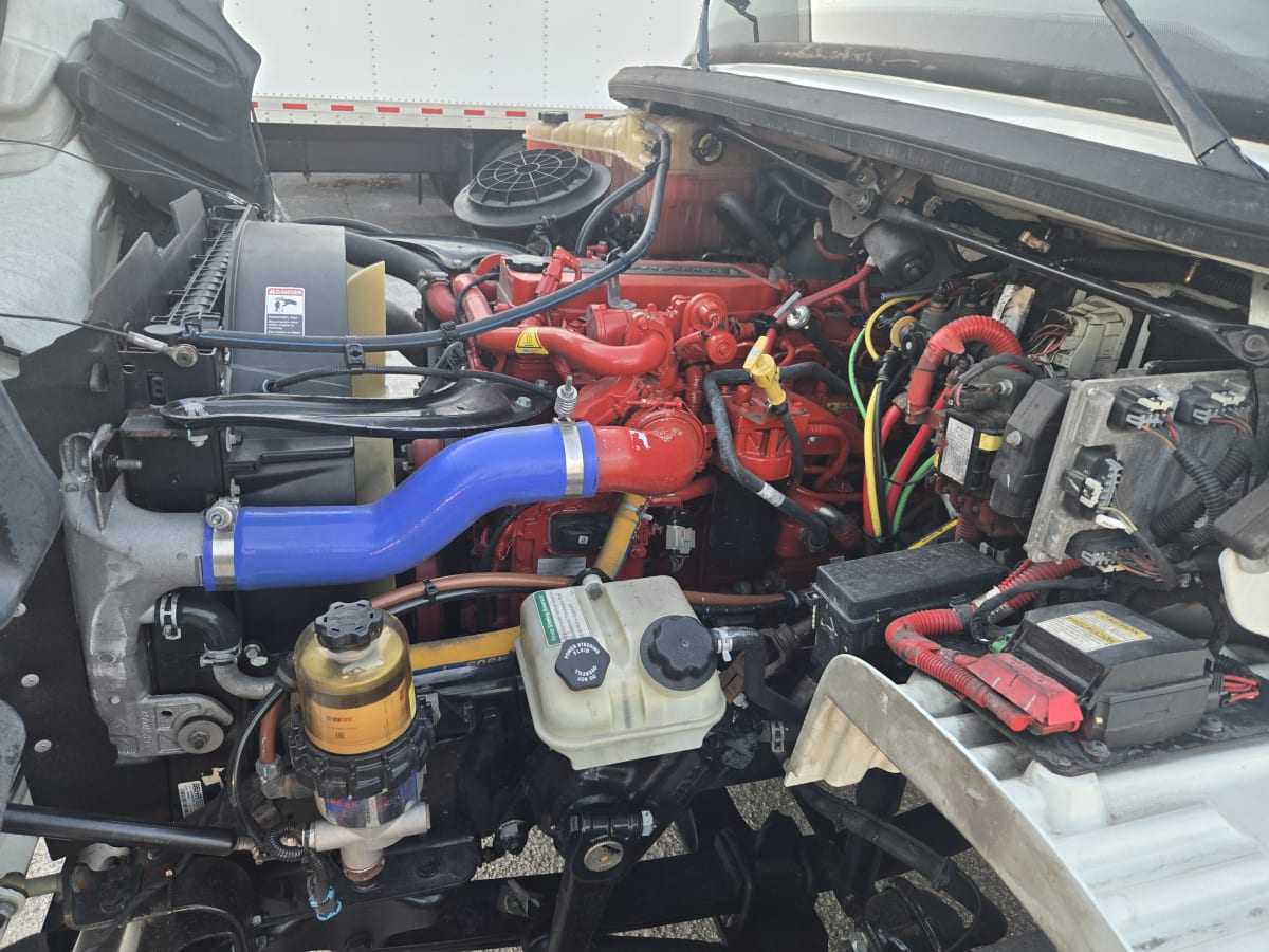 2019 Freightliner/Mercedes M2 106 863194