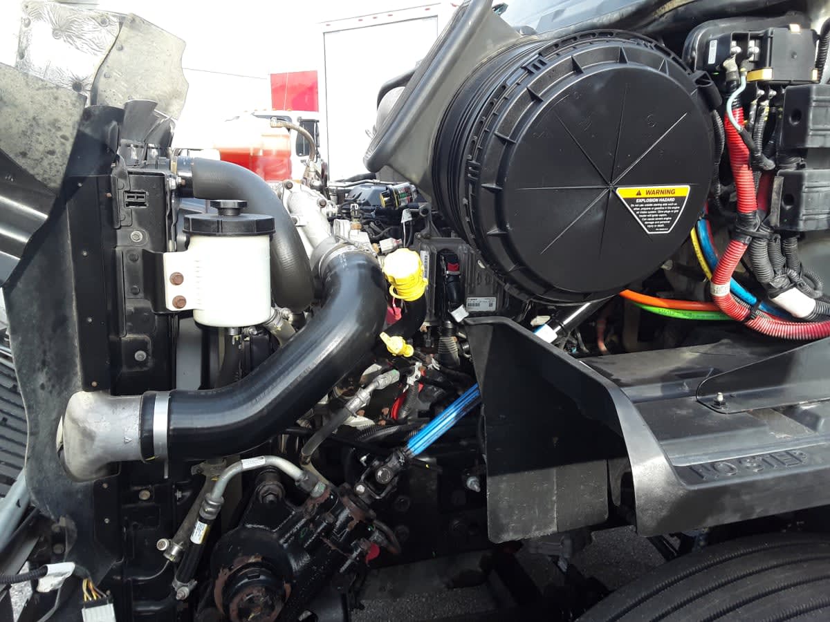 2019 International - image 8