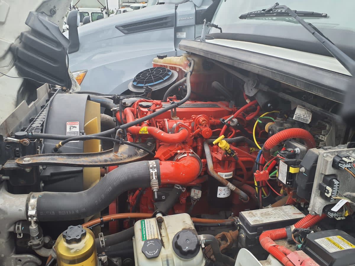 2019 Freightliner/Mercedes M2 106 863228