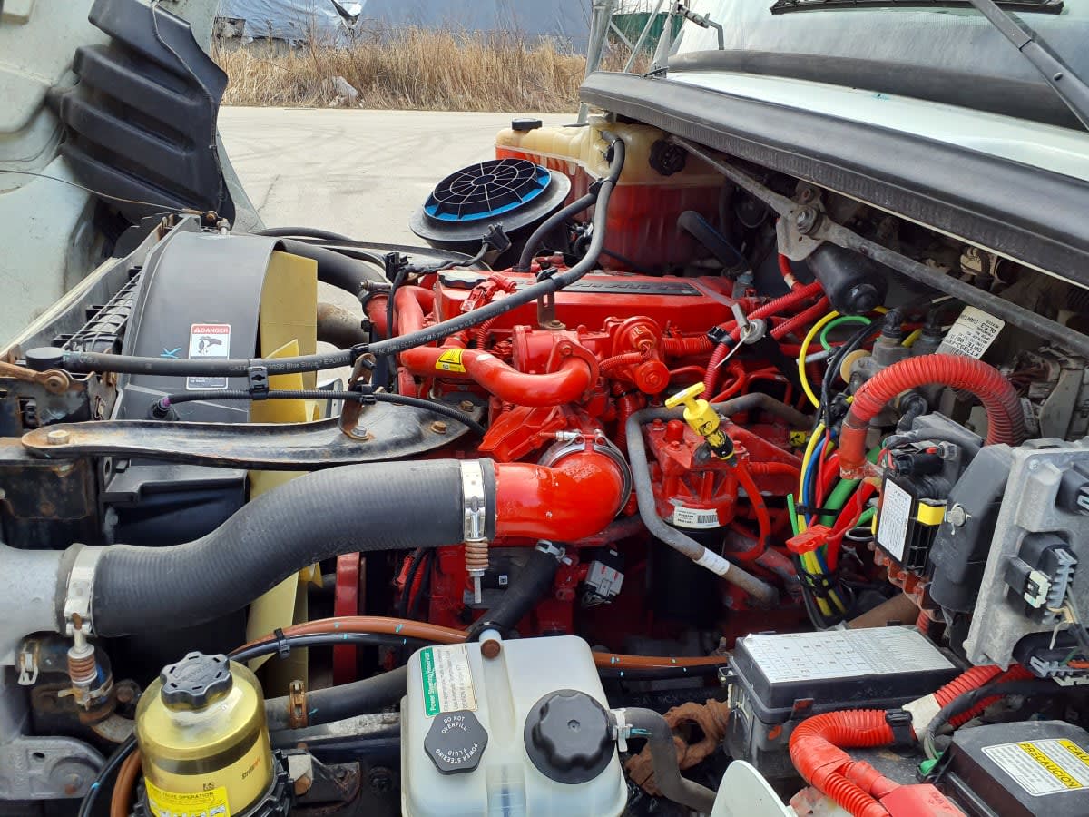 2019 Freightliner/Mercedes M2 106 863231