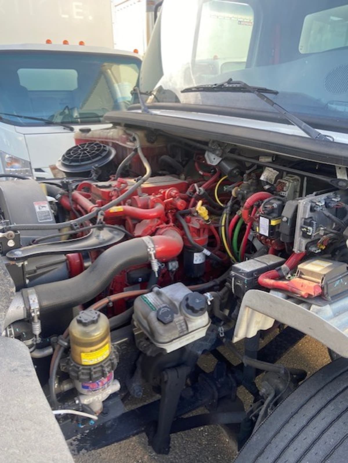 2019 Freightliner/Mercedes M2 106 863299