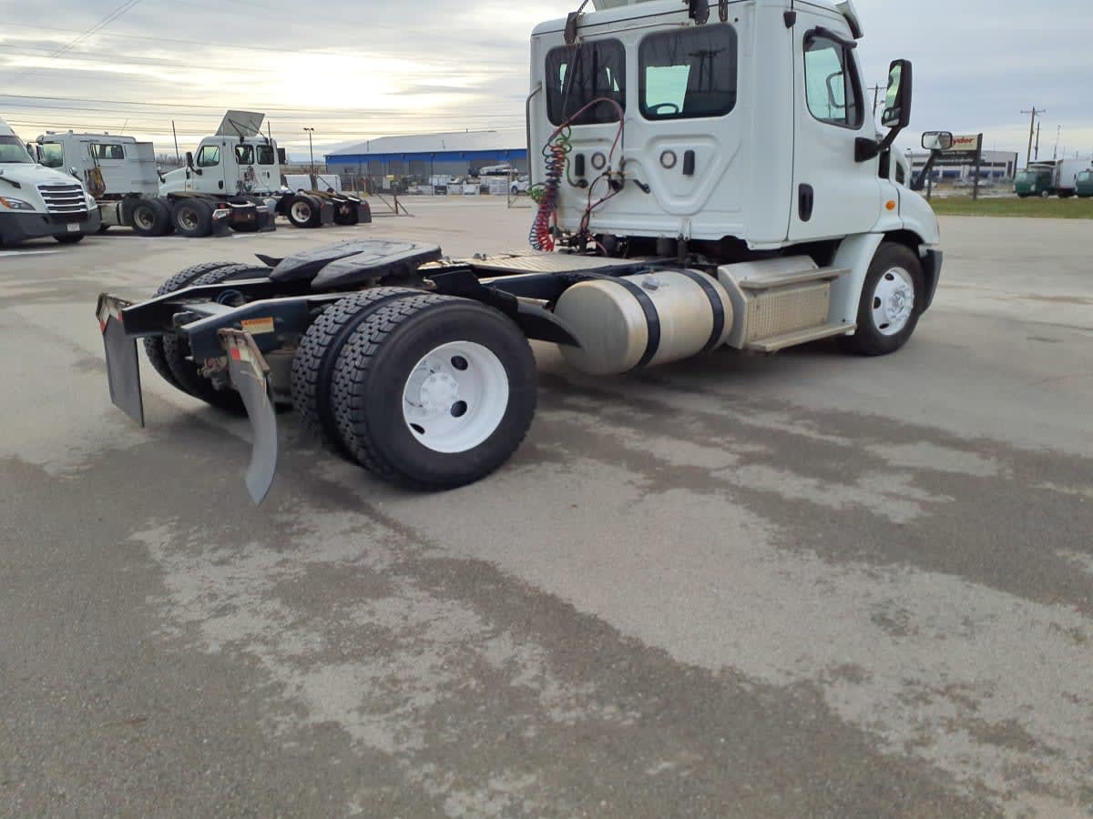 2019 Freightliner/Mercedes CASCADIA 113 863305
