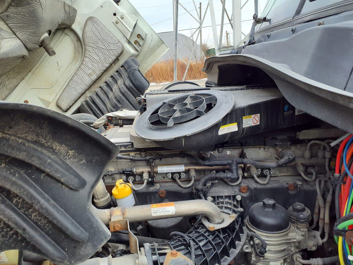 2019 Freightliner/Mercedes CASCADIA 113 863305