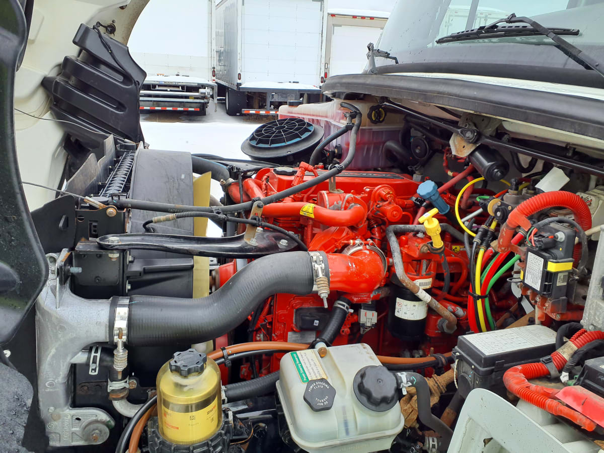 2019 Freightliner/Mercedes M2 106 863317