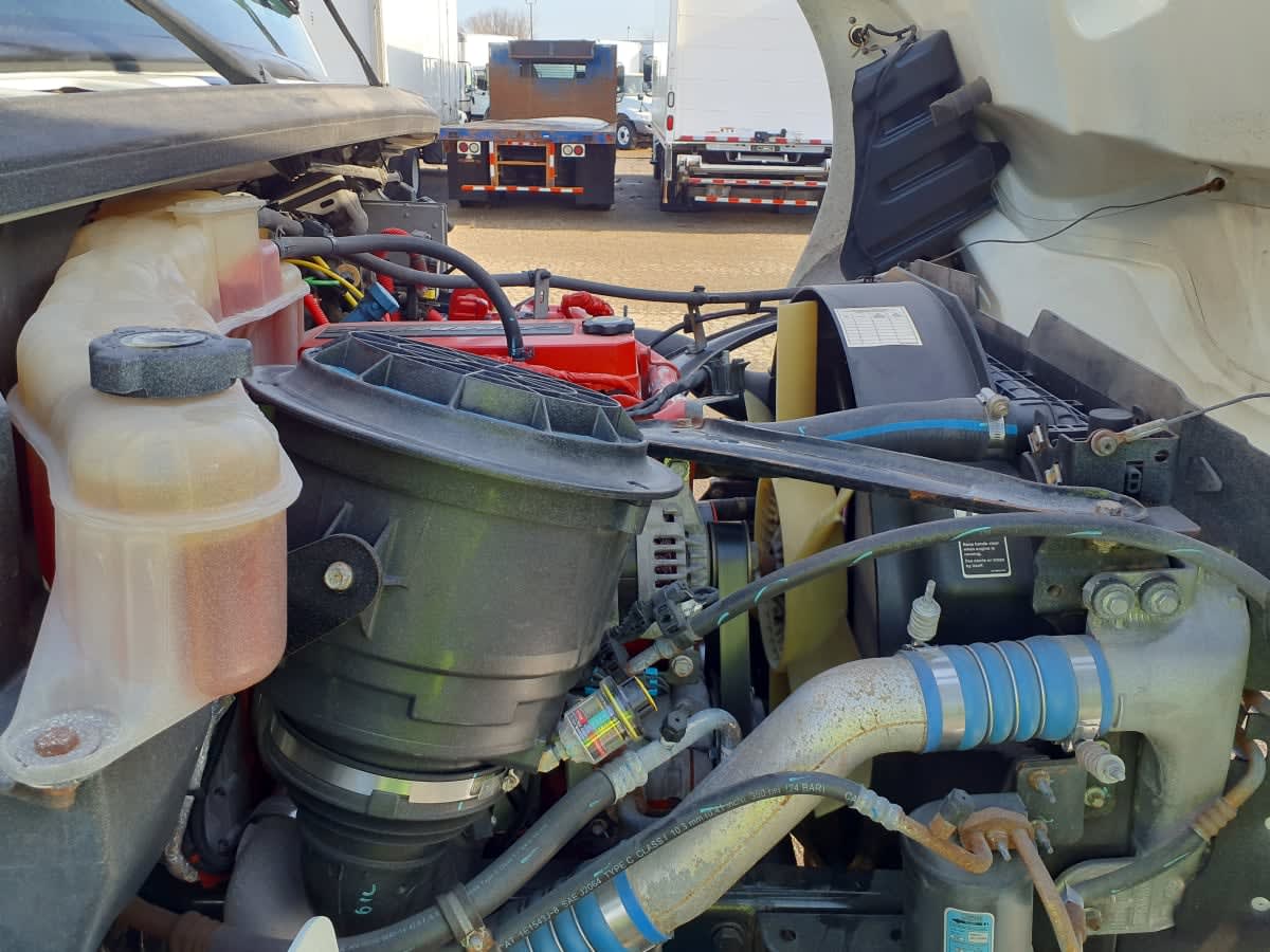 2019 Freightliner/Mercedes M2 106 863318