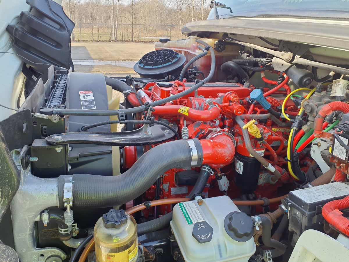 2019 Freightliner/Mercedes M2 106 863318