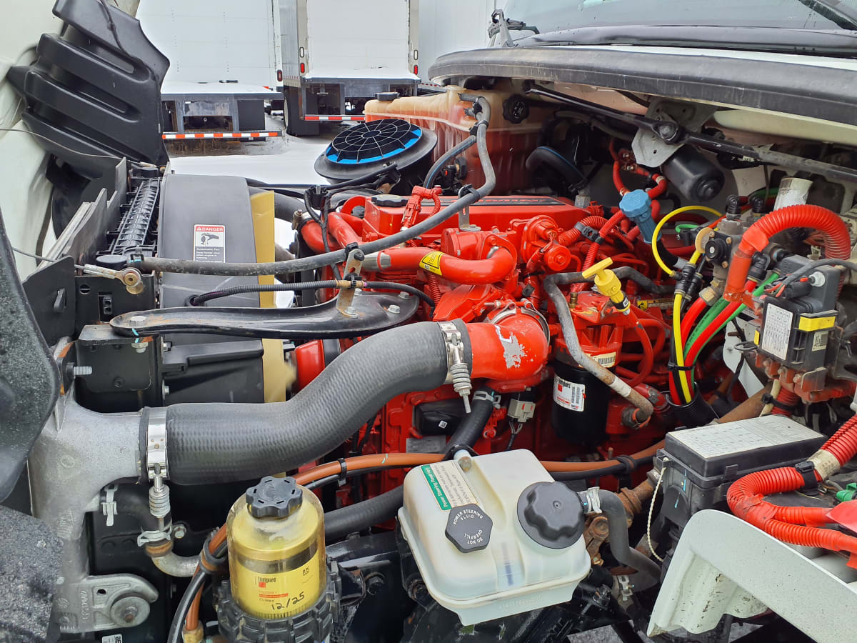 2019 Freightliner/Mercedes M2 106 863320