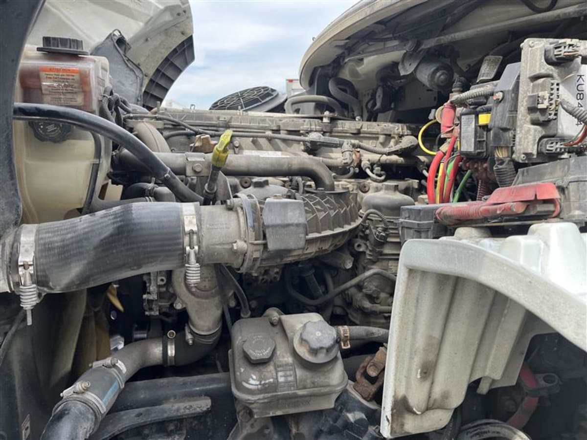 2019 Freightliner/Mercedes M2 112 863456