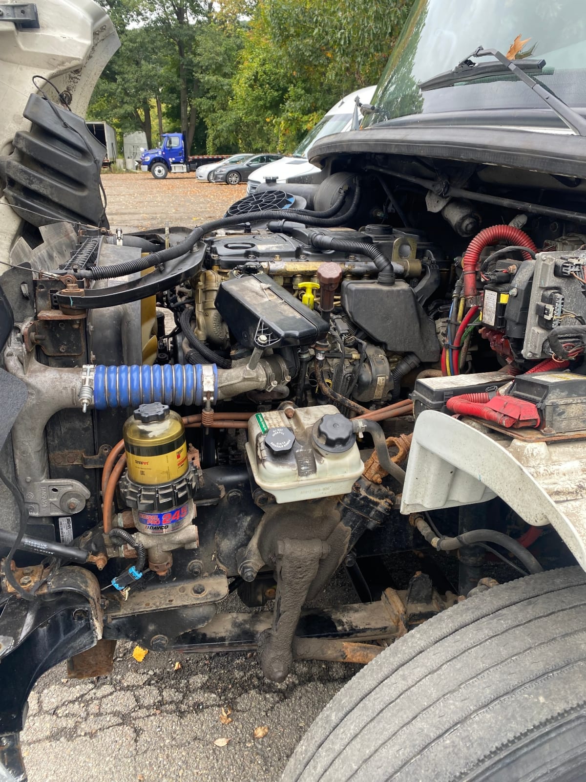 2019 Freightliner/Mercedes M2 106 863465