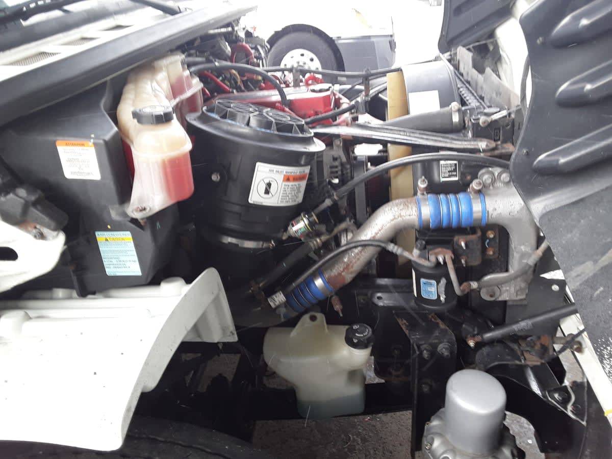 2019 Freightliner/Mercedes M2 106 863537