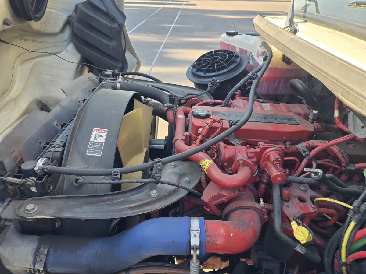 2019 Freightliner/Mercedes M2 106 863573