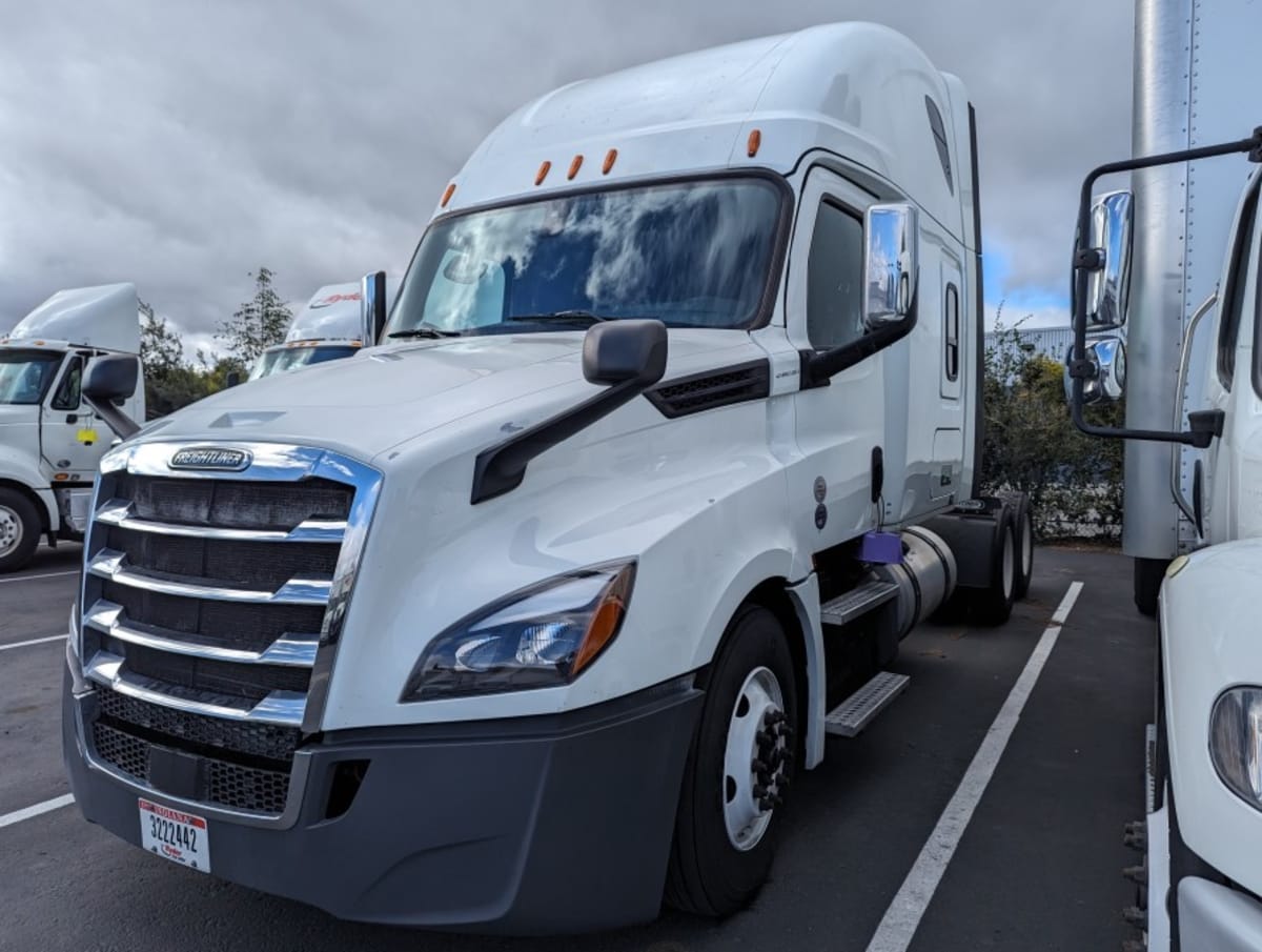 2019 Freightliner/Mercedes NEW CASCADIA PX12664 863597