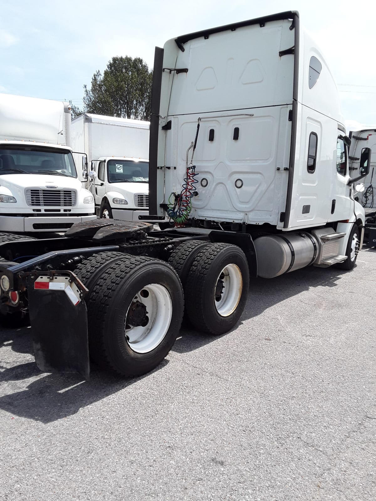 2019 Freightliner/Mercedes NEW CASCADIA PX12664 863618