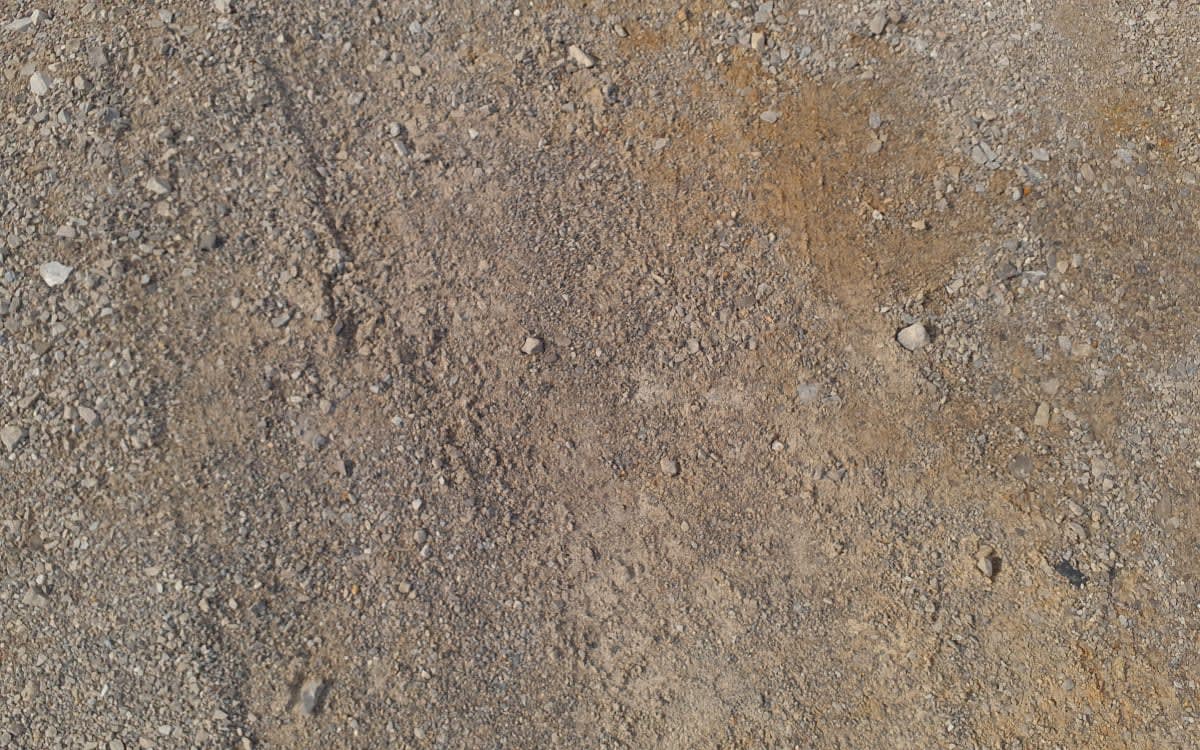 2019 Freightliner/Mercedes CASCADIA 125 863803