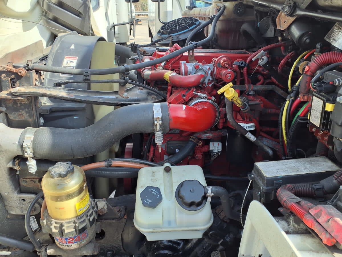 2019 Freightliner/Mercedes M2 106 863995