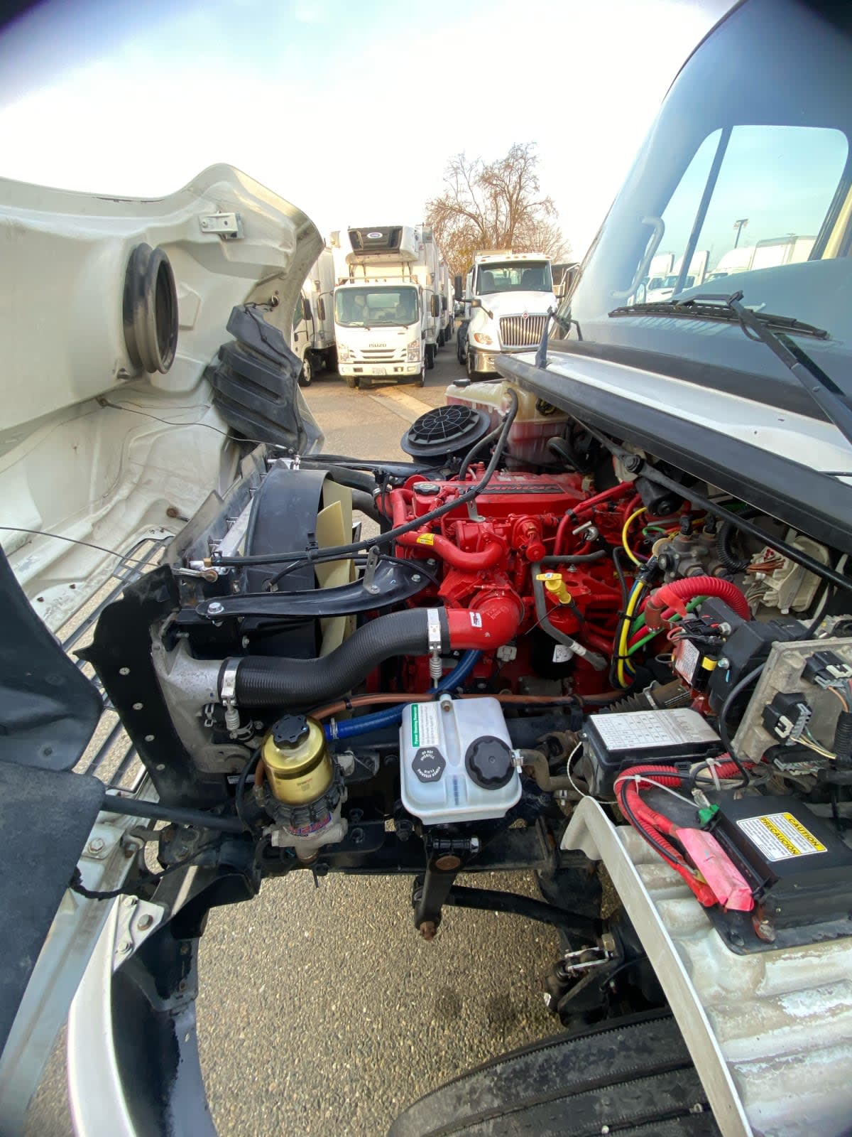 2019 Freightliner/Mercedes M2 106 864104