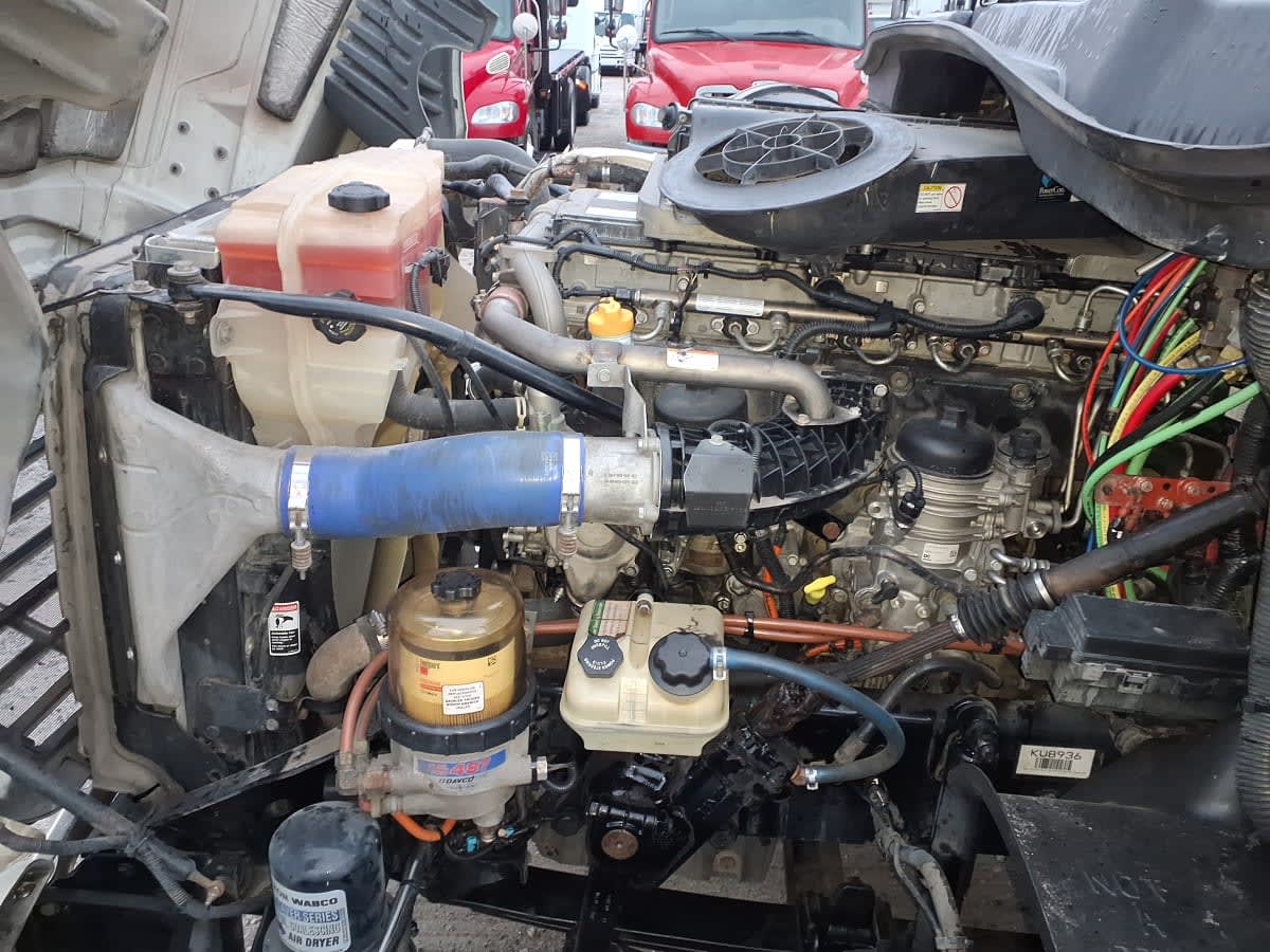 2019 Freightliner/Mercedes CASCADIA 125 864230