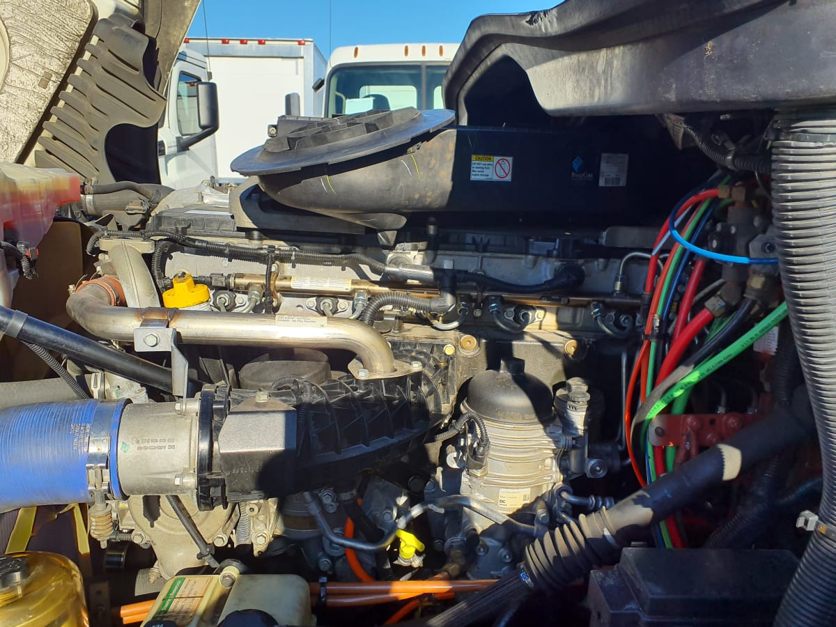 2019 Freightliner/Mercedes CASCADIA 125 864235