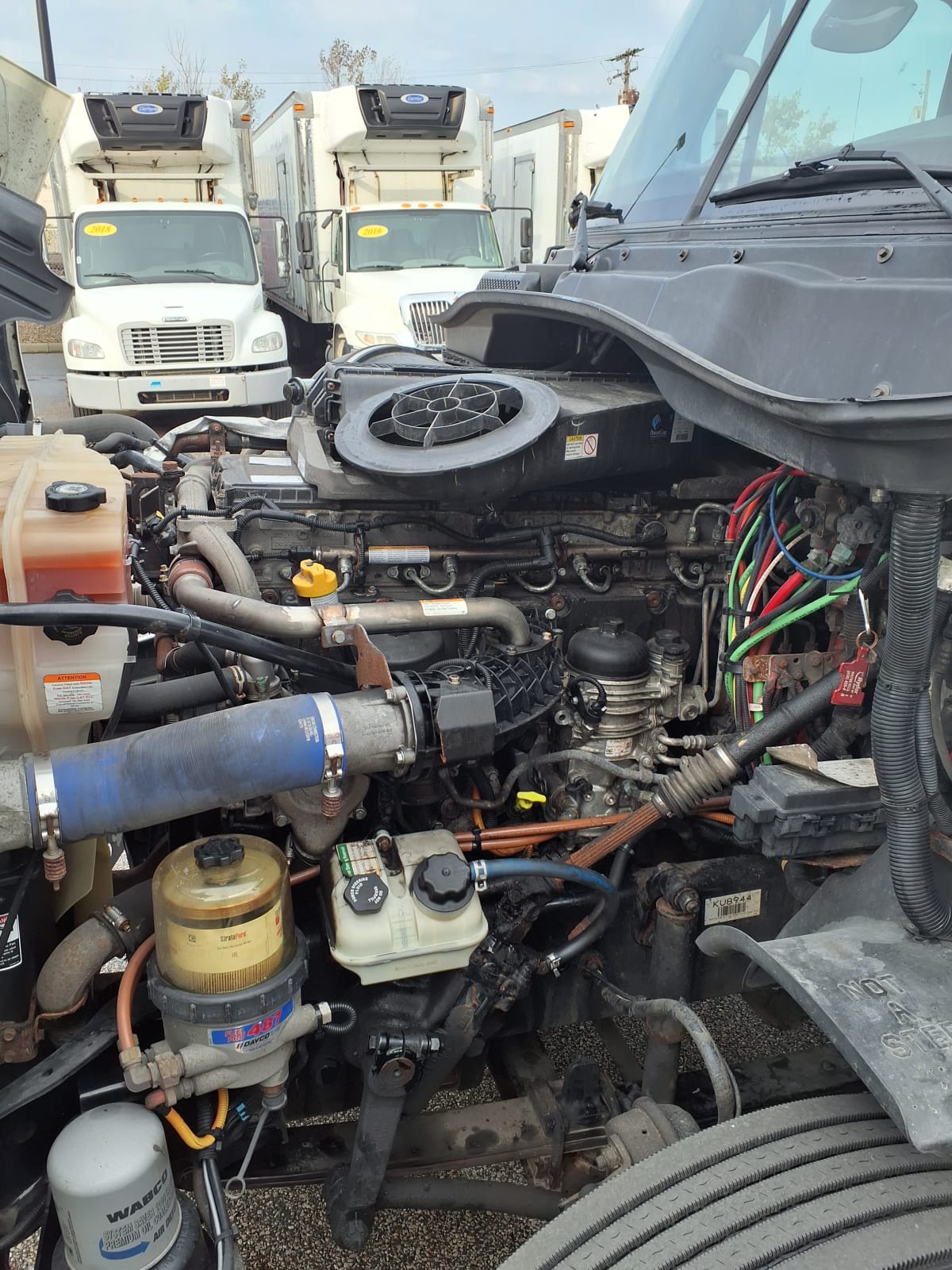 2019 Freightliner/Mercedes CASCADIA 125 864238