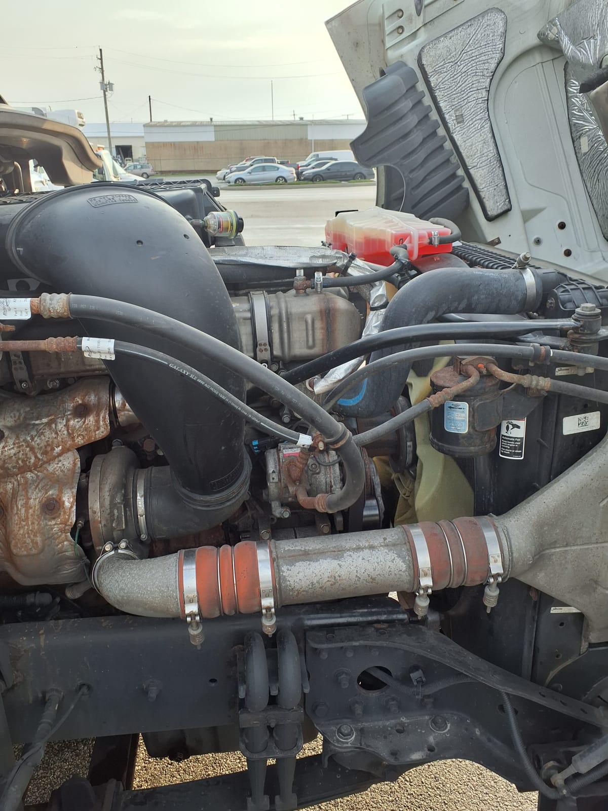 2019 Freightliner/Mercedes CASCADIA 125 864239