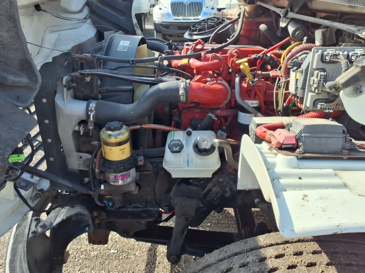 2019 Freightliner/Mercedes M2 106 864332