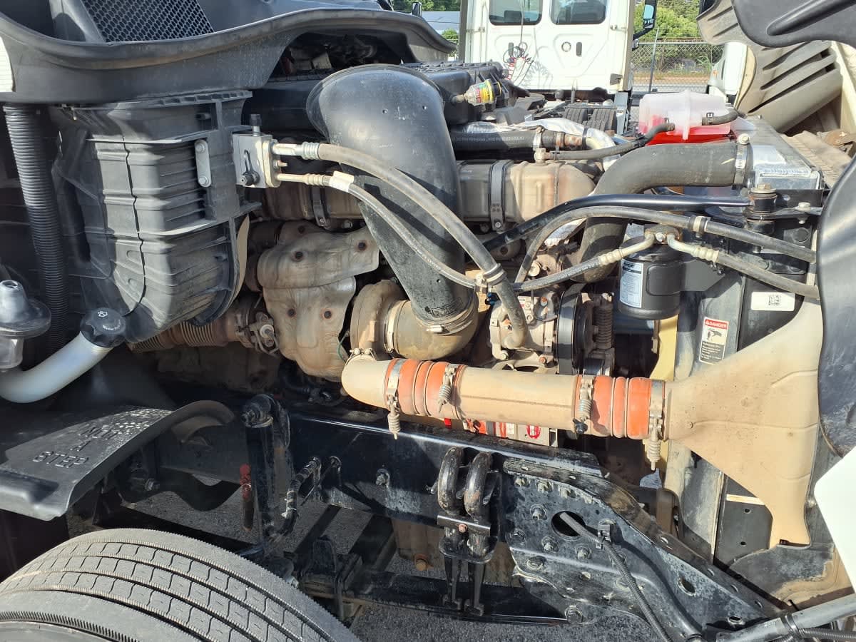 2019 Freightliner/Mercedes CASCADIA 125 864931