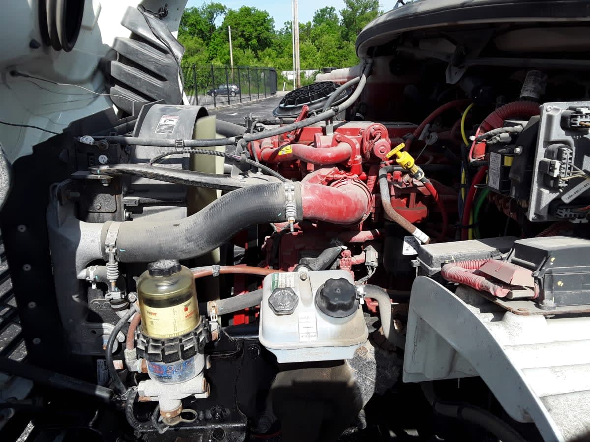 2019 Freightliner/Mercedes M2 106 864974