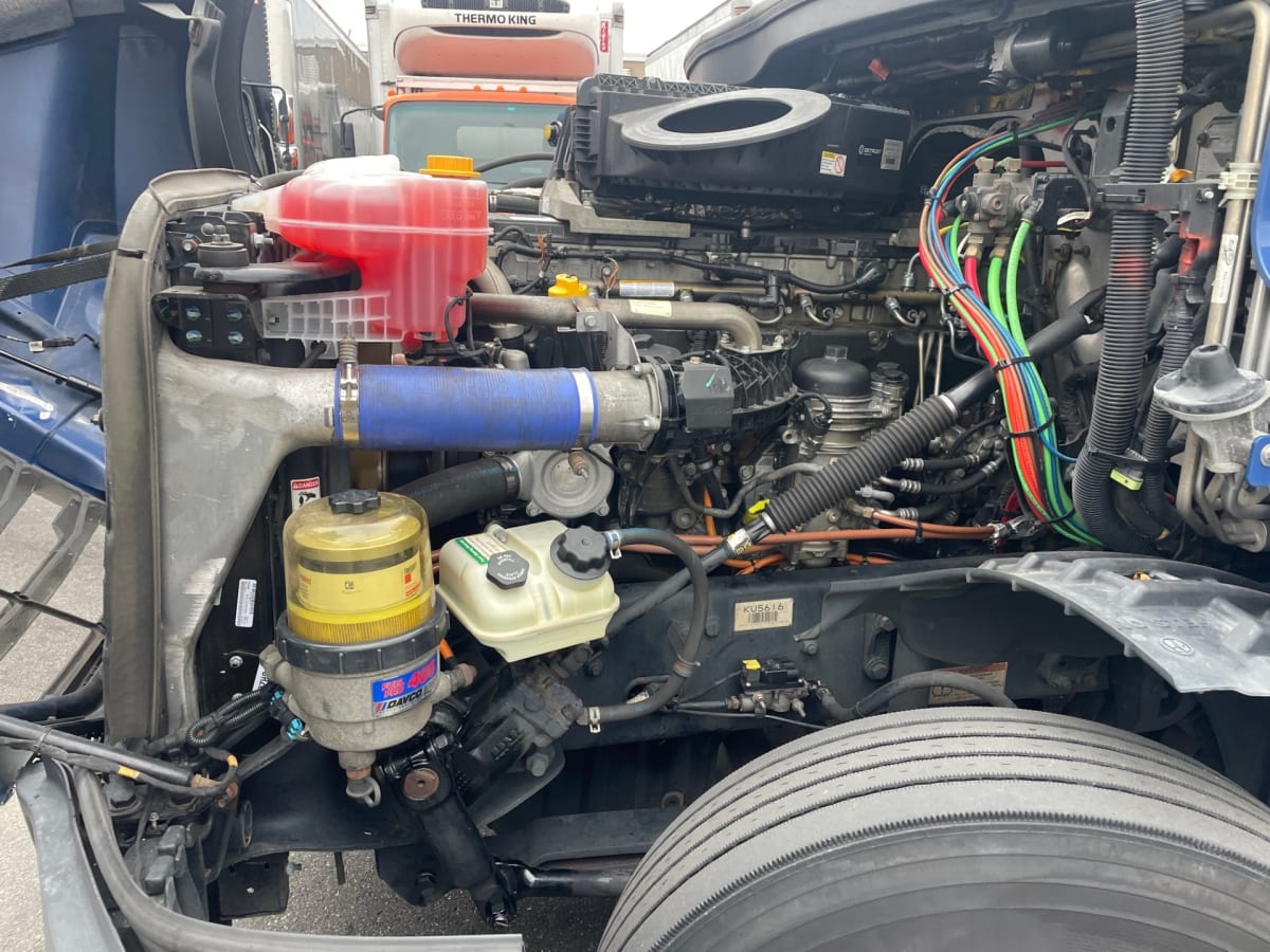 2019 Freightliner/Mercedes NEW CASCADIA PX12664 865034