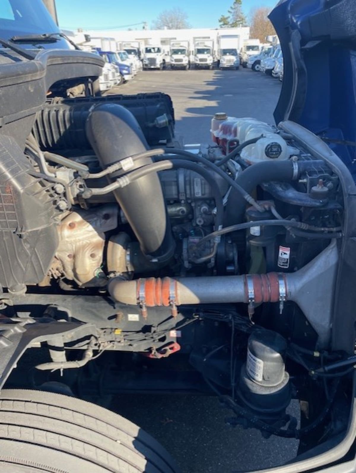 2019 Freightliner - image 14