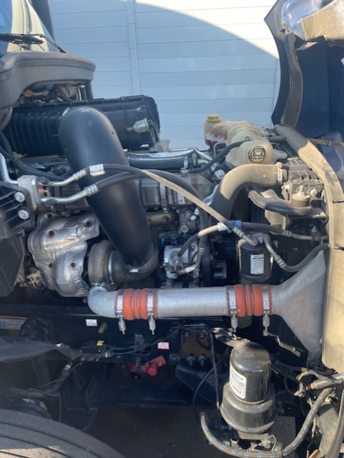 2019 Freightliner/Mercedes NEW CASCADIA PX12664 865053