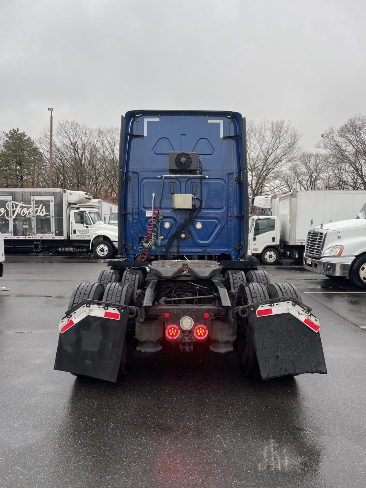 2019 Freightliner/Mercedes NEW CASCADIA PX12664 865055